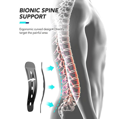 ZenSpine Posture Belt